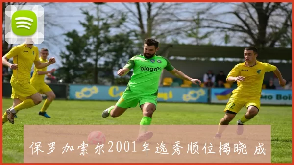 保罗加索尔2001年选秀顺位揭晓 成为灰熊内线核心起点