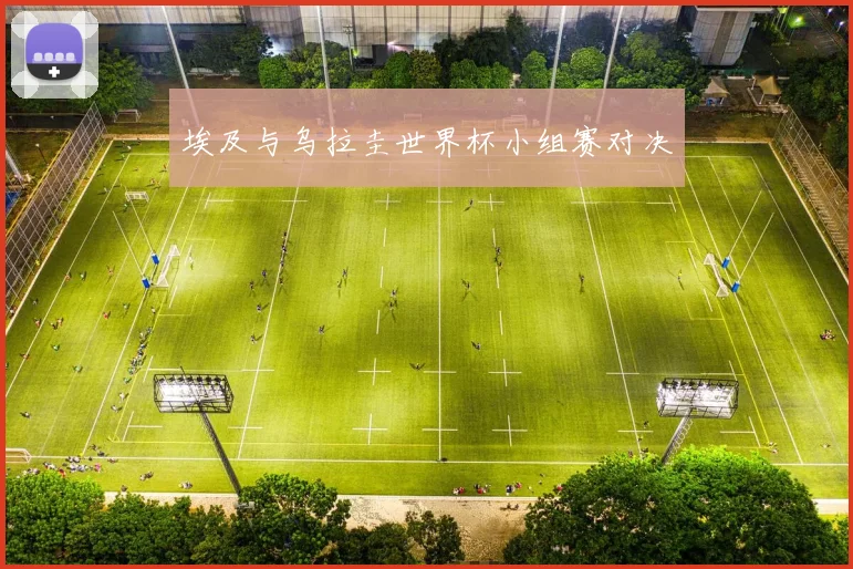埃及与乌拉圭世界杯小组赛对决