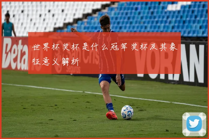 世界杯奖杯是什么冠军奖杯及其象征意义解析