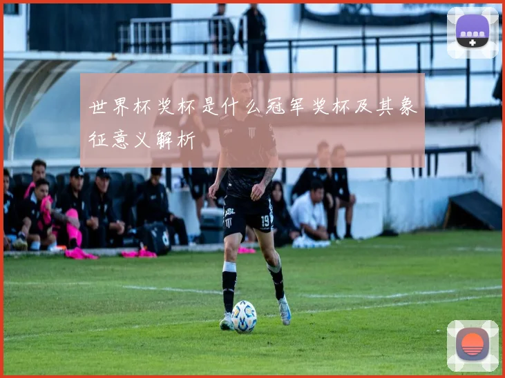 世界杯奖杯是什么冠军奖杯及其象征意义解析