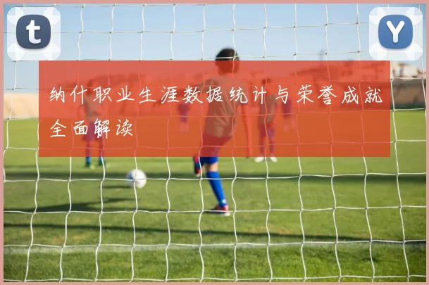 纳什职业生涯数据统计与荣誉成就全面解读