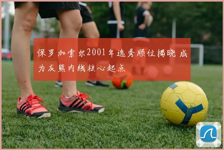 保罗加索尔2001年选秀顺位揭晓 成为灰熊内线核心起点