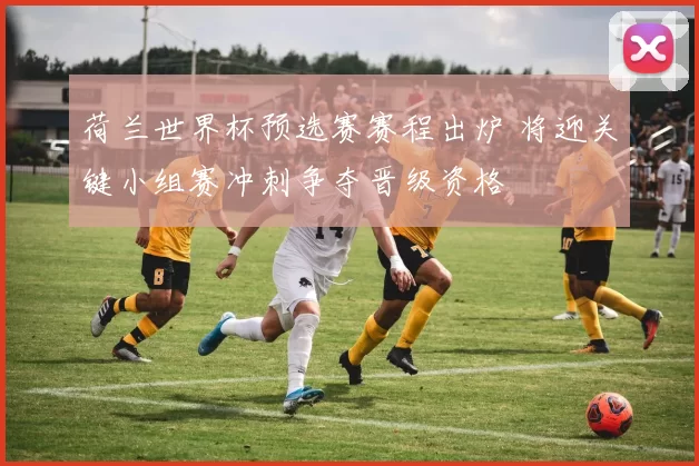 荷兰世界杯预选赛赛程出炉 将迎关键小组赛冲刺争夺晋级资格