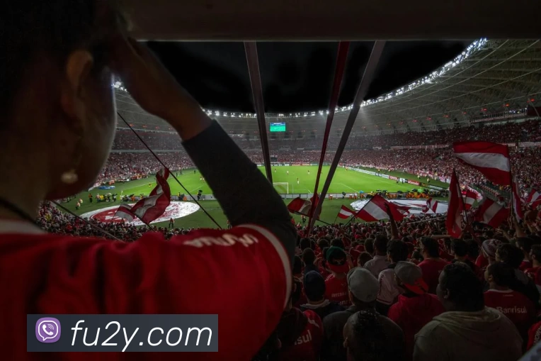 星空体育官网最新版APP 封面图